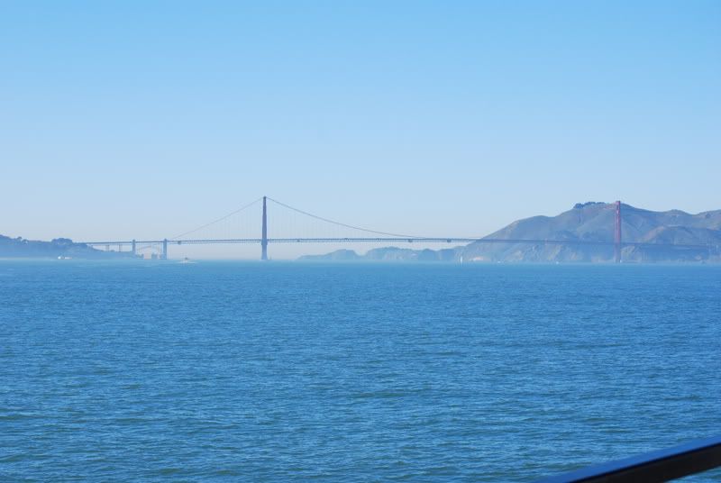 DSC_0840.jpg