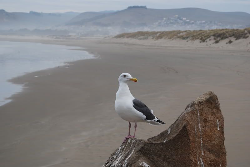DSC_1326.jpg