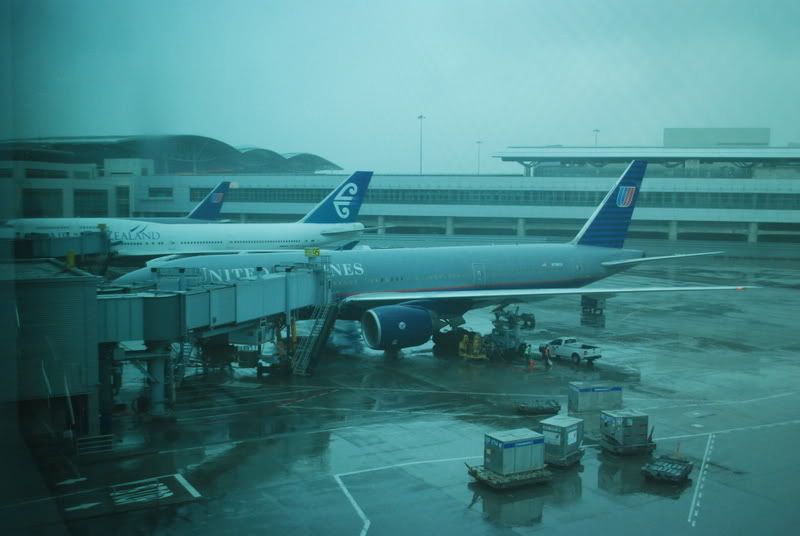 DSC_1549.jpg