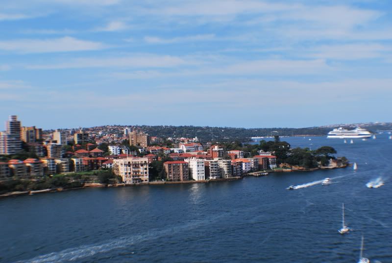 DSC_2254.jpg