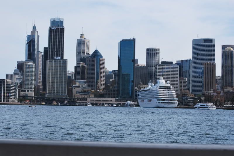 DSC_2273.jpg