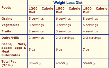 3 Days Vegetarian Diet Plan Weight Loss