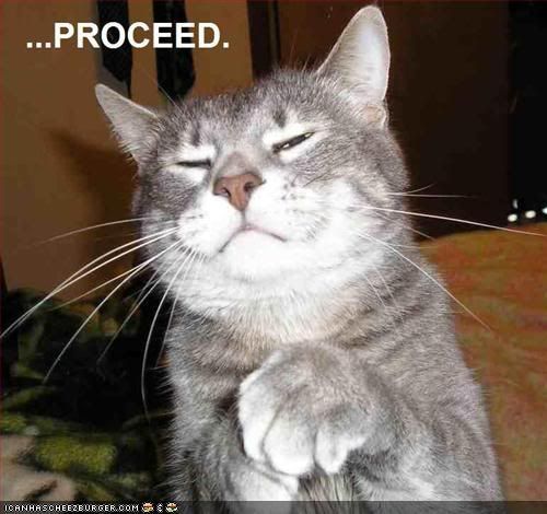 Proceed Cat