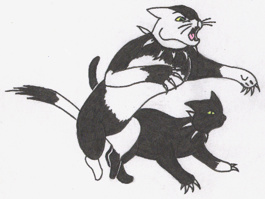 warrior cats coloring pages scourge x - photo #26