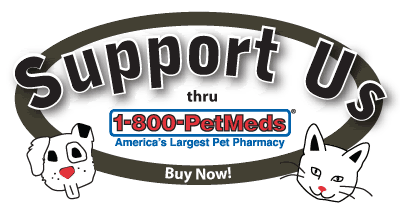 support logo