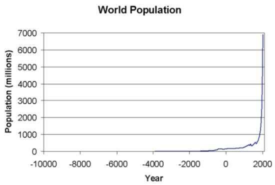 Bacterial Population Growth