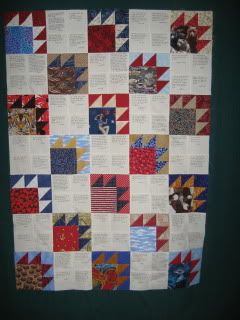 IKBII's quilt top (partial)