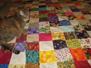 Goldie inspects austex's quilt top