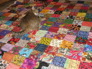 Goldie inspects MA Liberal's mother's quilt