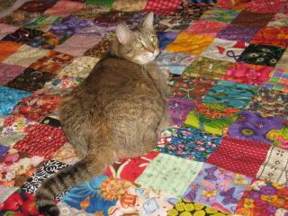 Goldie inspects MA Liberal's mother's quilt