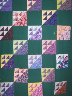 Lorikeet's quilt blocks