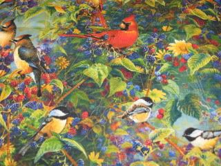 Lorikeet's border fabric