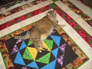 Goldie approves Aji's quilt top