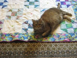 Goldie inspects peregrine kate's quilt