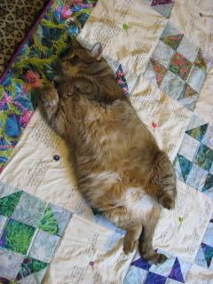 Goldie inspects peregrine kate's quilt