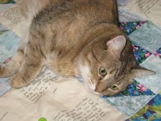 Goldie inspects peregrine kate's quilt