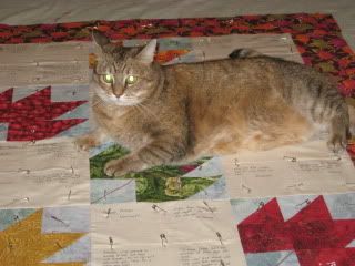Goldie inspects alliedoc's quilt