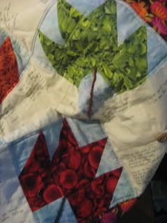 alliedoc's quilt, detail