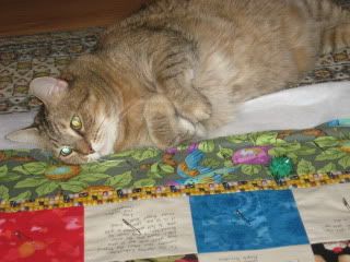 Goldie inspects the basting of labwitchy's quilt