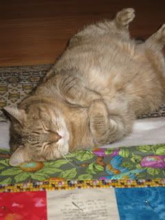 Goldie inspects the basting of labwitchy's quilt