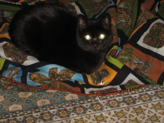 Betty loves paradise50's quilt