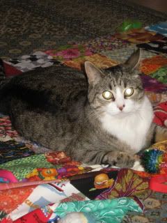 Boots on Mrs. jimreyn's quilt