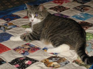 Boots on Smoh's quilt