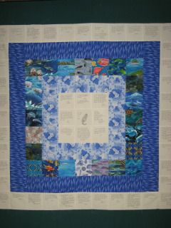 arizonablue's quilt