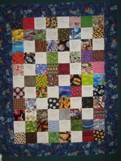 Brutus' quilt top