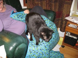 Betty loves earicicle's quilt