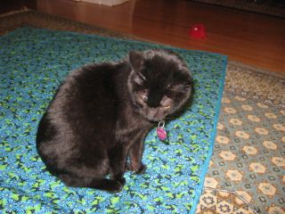 Betty on earicicle's quilt