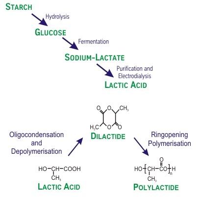 polylactic acid synthesis