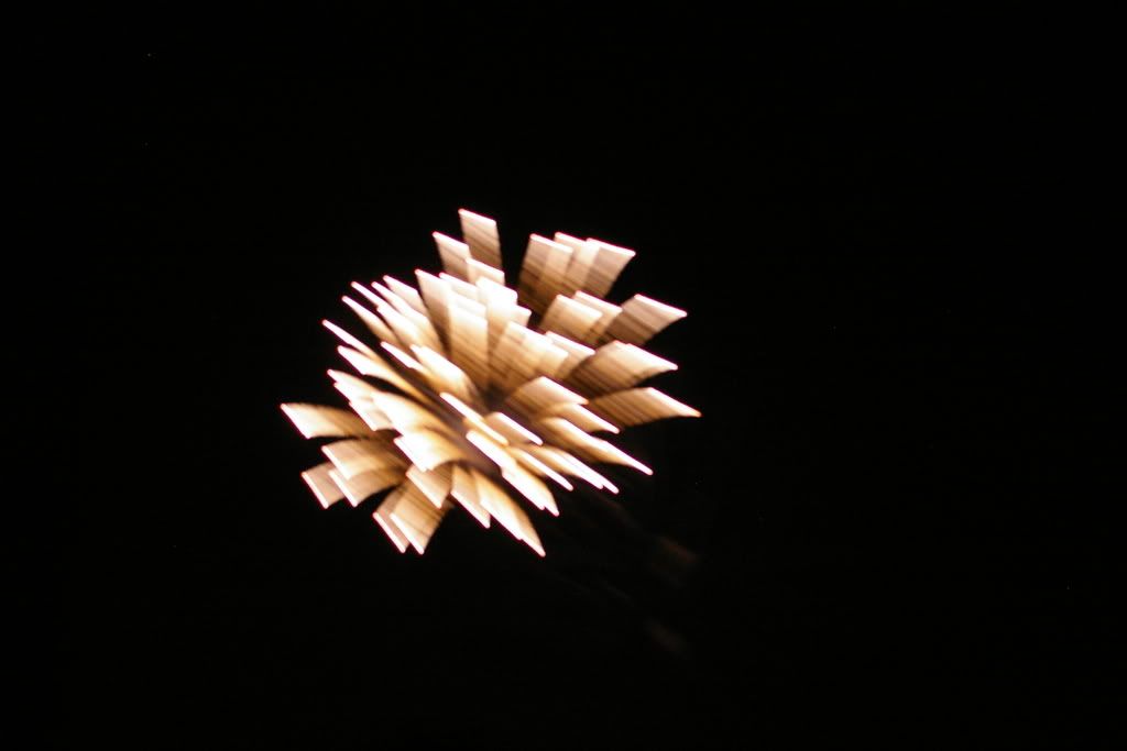 IMGP1289-2.jpg