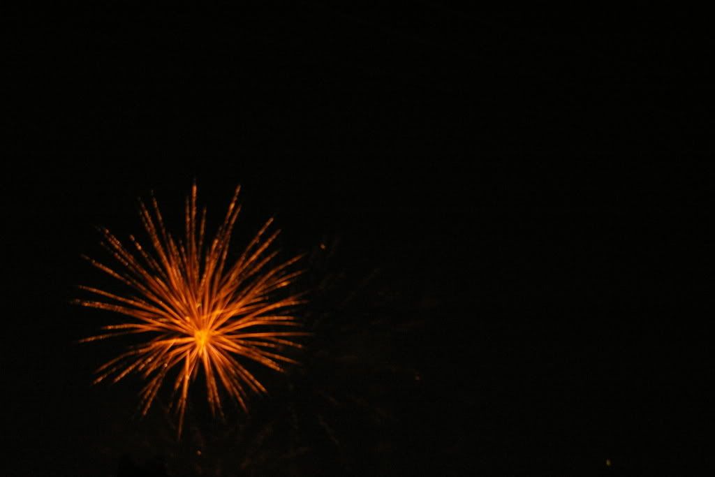 IMGP1292.jpg
