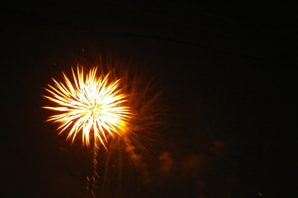 IMGP1294.jpg