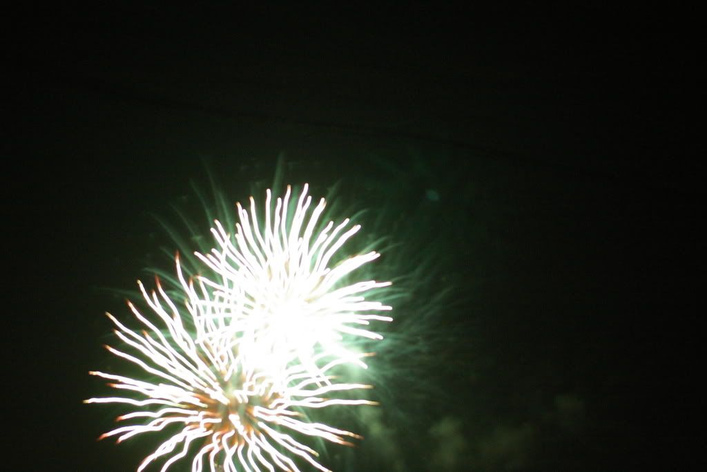 IMGP1295.jpg