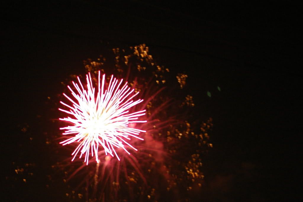 IMGP1296.jpg