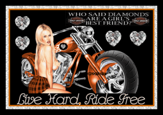 Diamonds and Harleys Pictures, Images and Photos