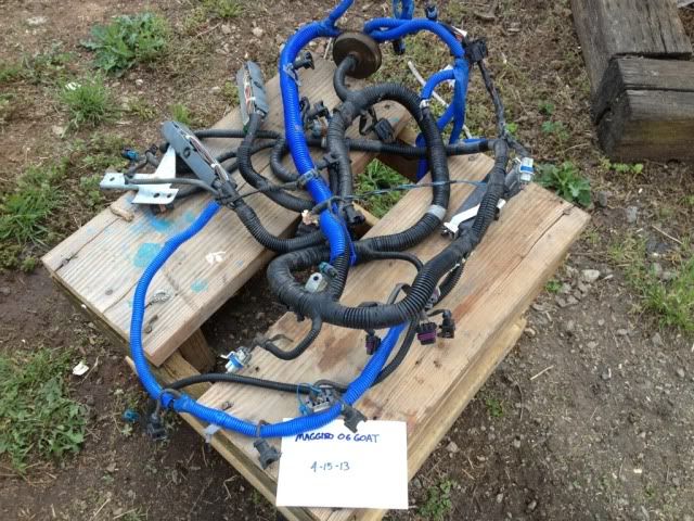 Aftermarket and Oem lots of parts - LS1GTO.com Forums