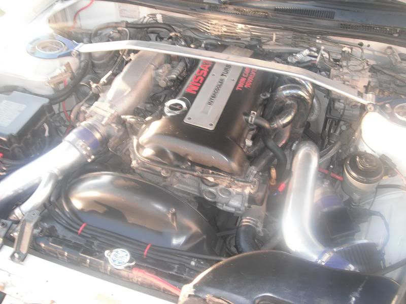 Posted Image