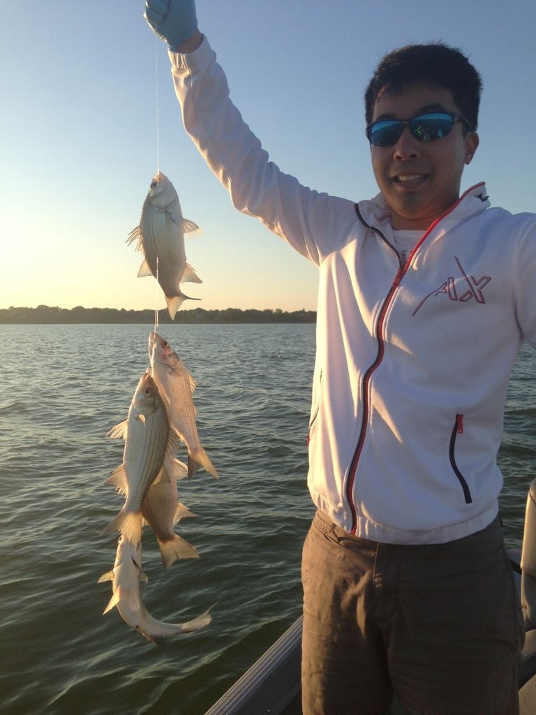 Lake Lavon Fishing Guide Report ( Updated weekly w/ pics