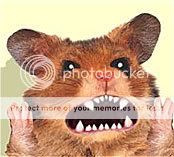 http://i169.photobucket.com/albums/u205/Jacksparrow2406/duh-hamster.jpg