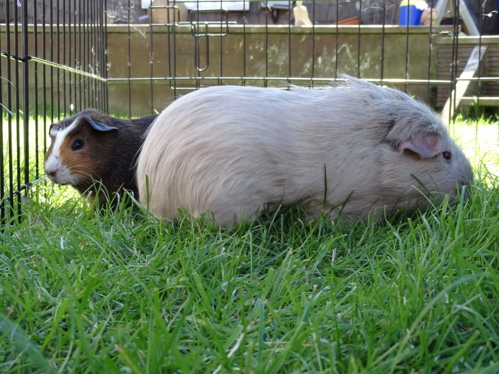 DSC00138.jpg