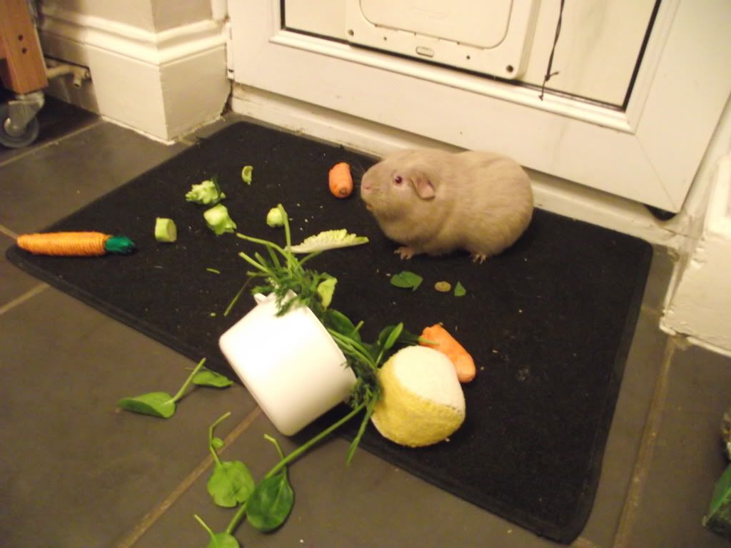 DSCF1369.jpg