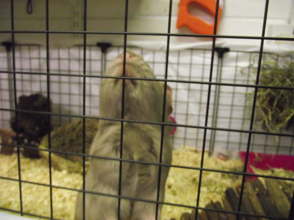 DSCF1402.jpg
