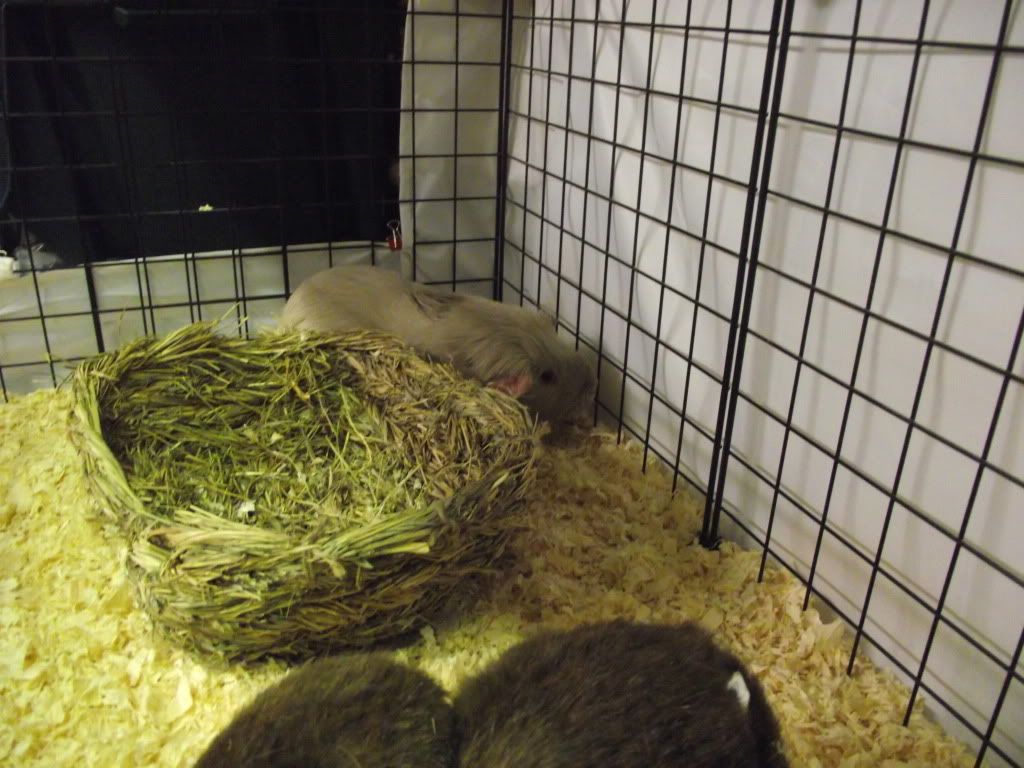 DSCF1630.jpg