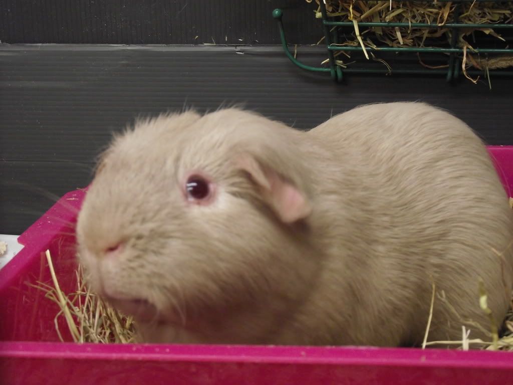 DSCF1833.jpg
