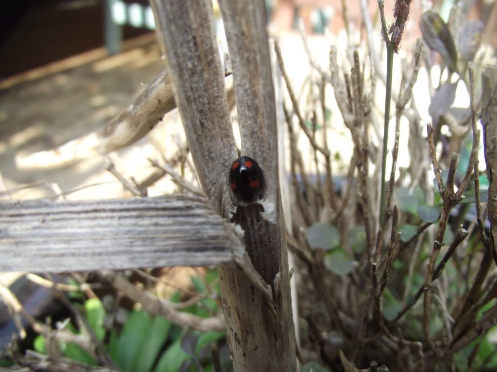 DSCF2029.jpg
