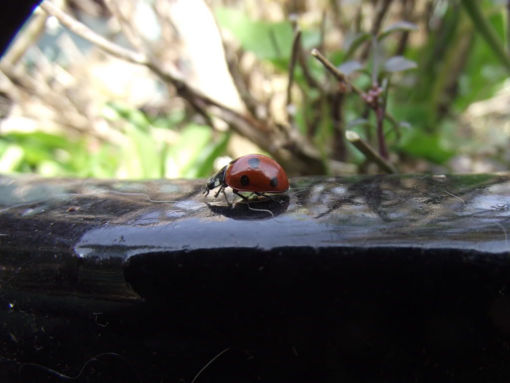 DSCF2035.jpg