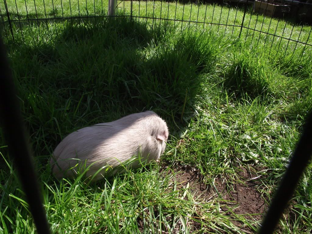 DSCF2302.jpg